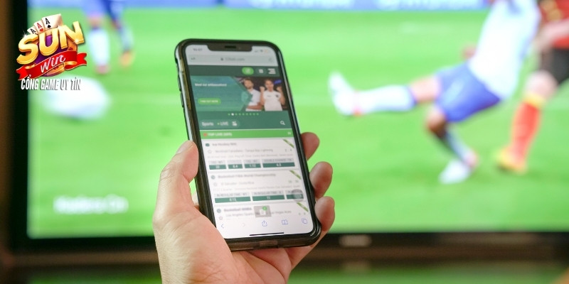 Đôi nét về thể thao Sunwin